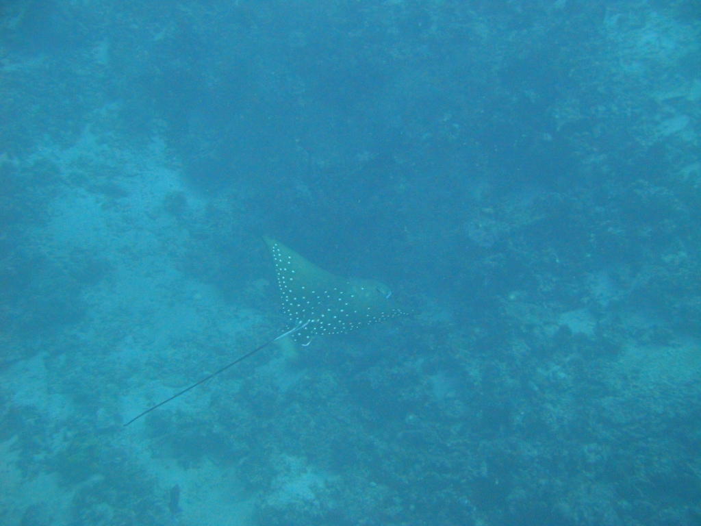 DSC00876.JPG