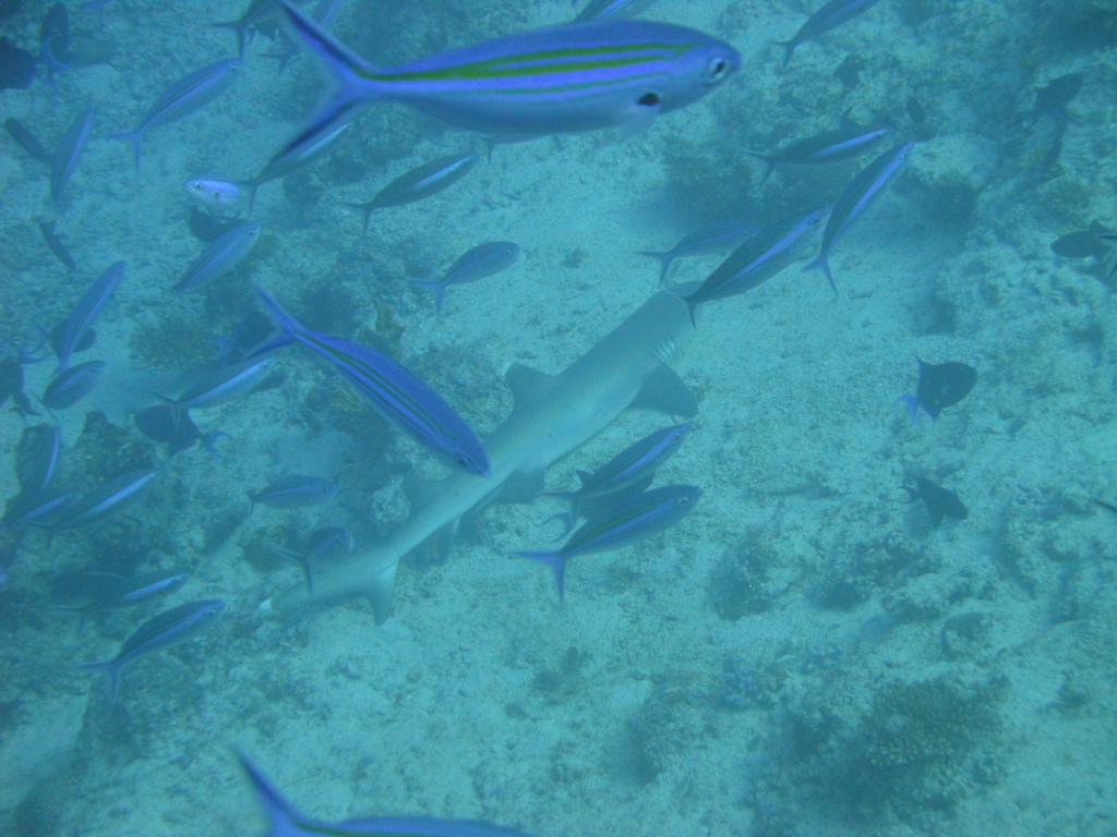 DSC00878.JPG