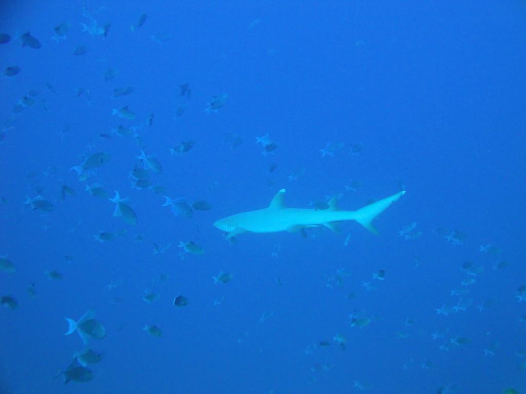 DSC00912.JPG
