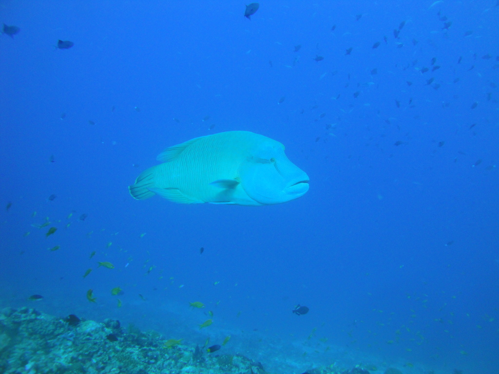 DSC00913.JPG