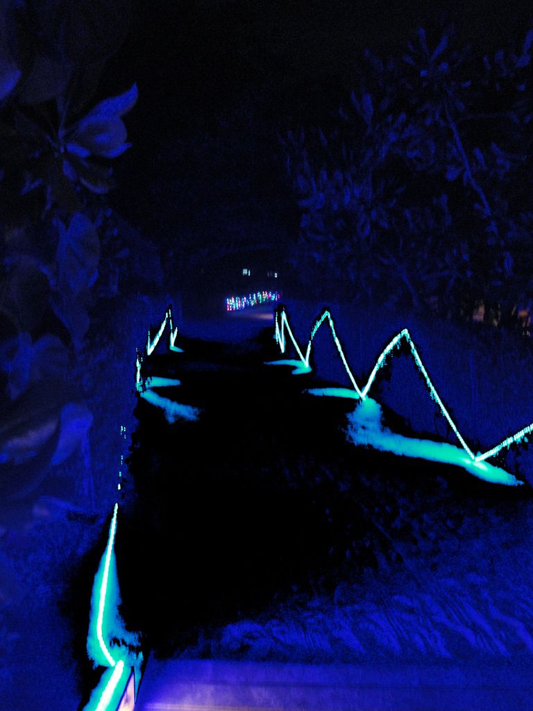 DSC00934.JPG