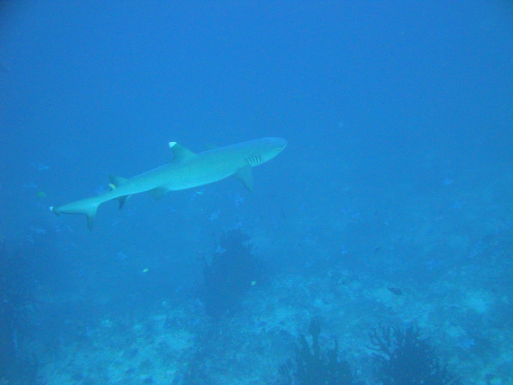 DSC00952.JPG