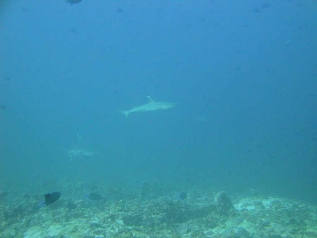 DSC01018.JPG