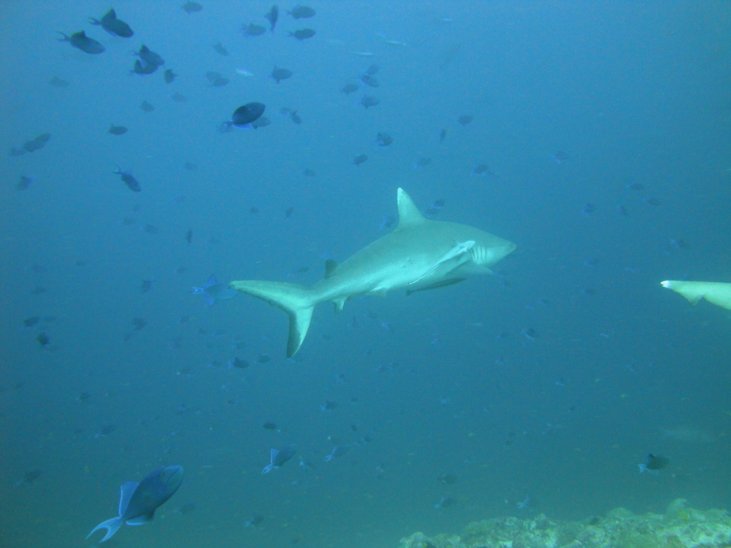 DSC01022.JPG