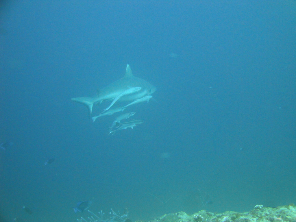 DSC01038.JPG