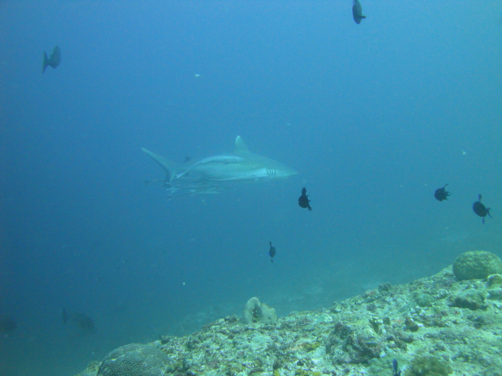 DSC01042.JPG
