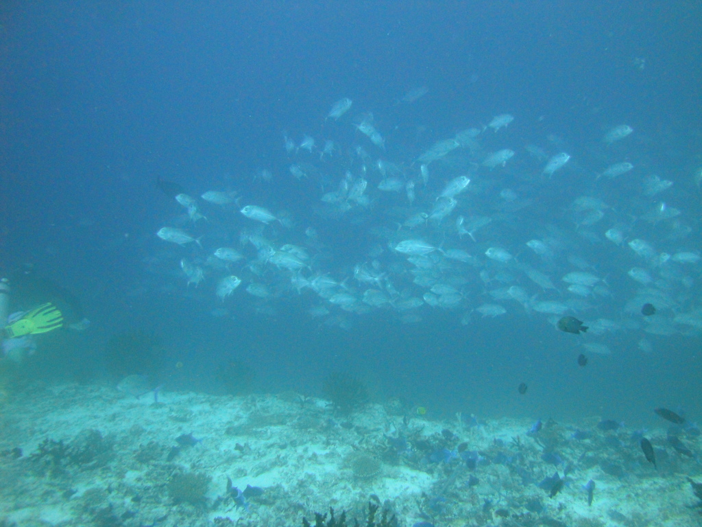 DSC01053.JPG