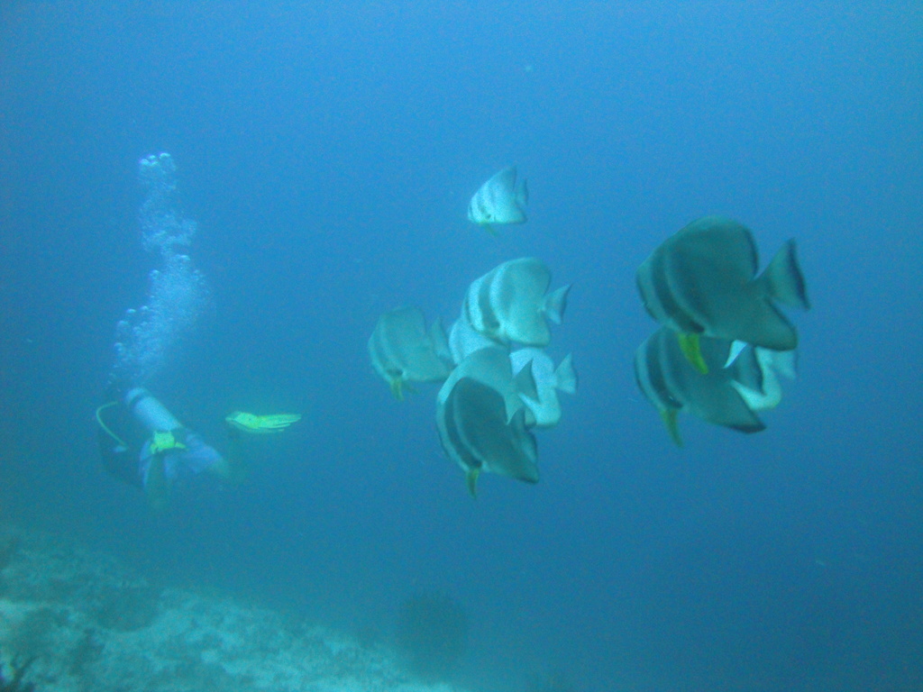 DSC01054.JPG