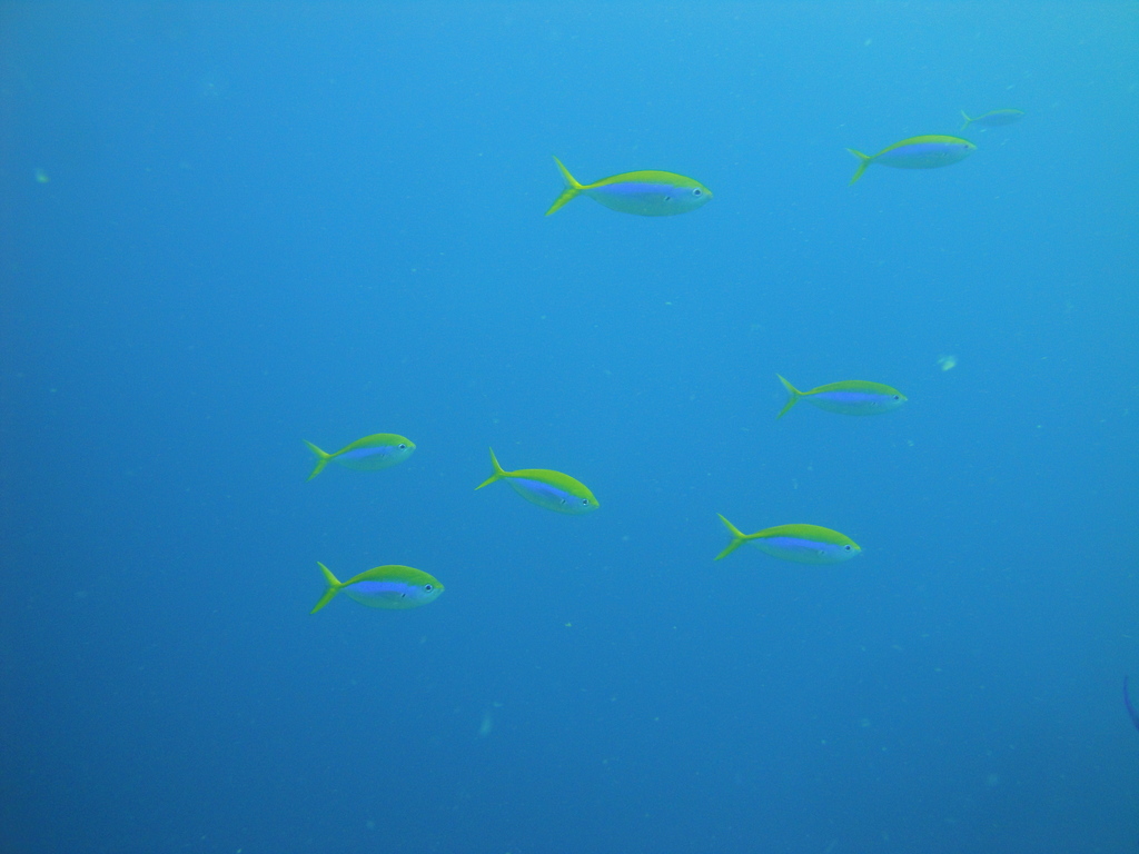 DSC01077.JPG