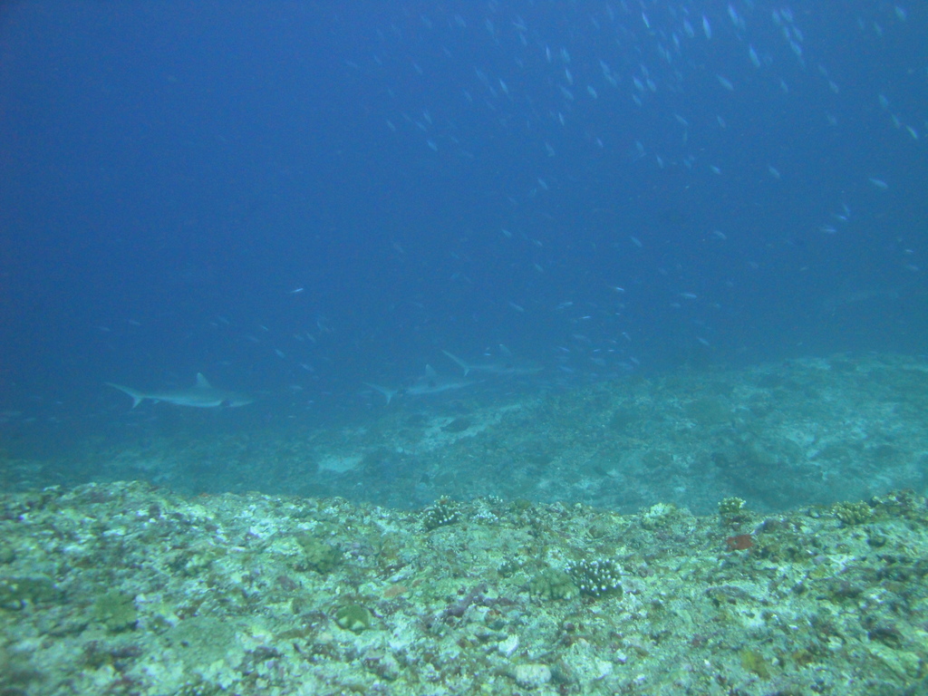 DSC01092.JPG