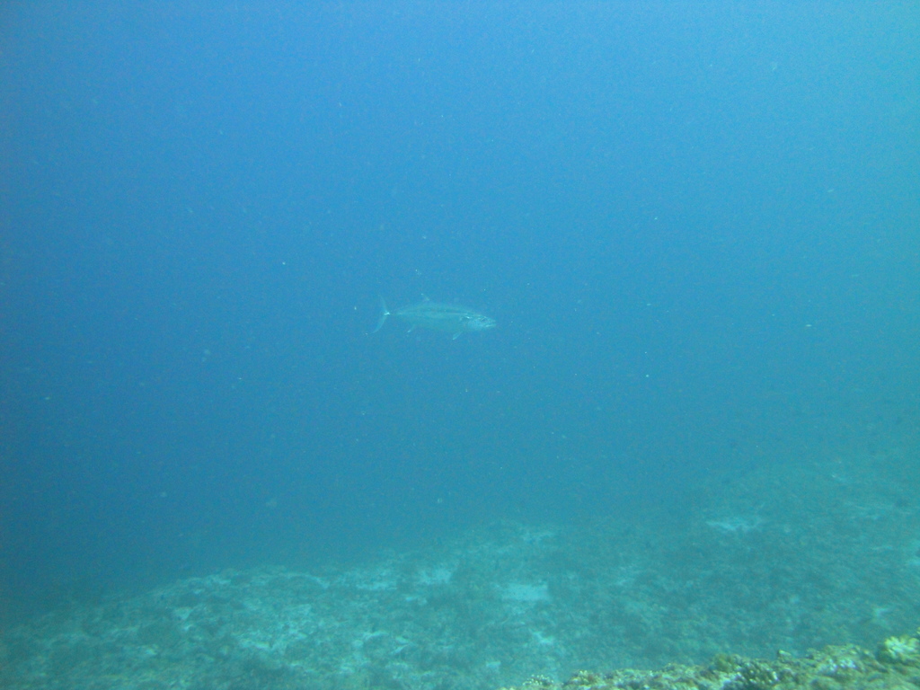 DSC01101.JPG