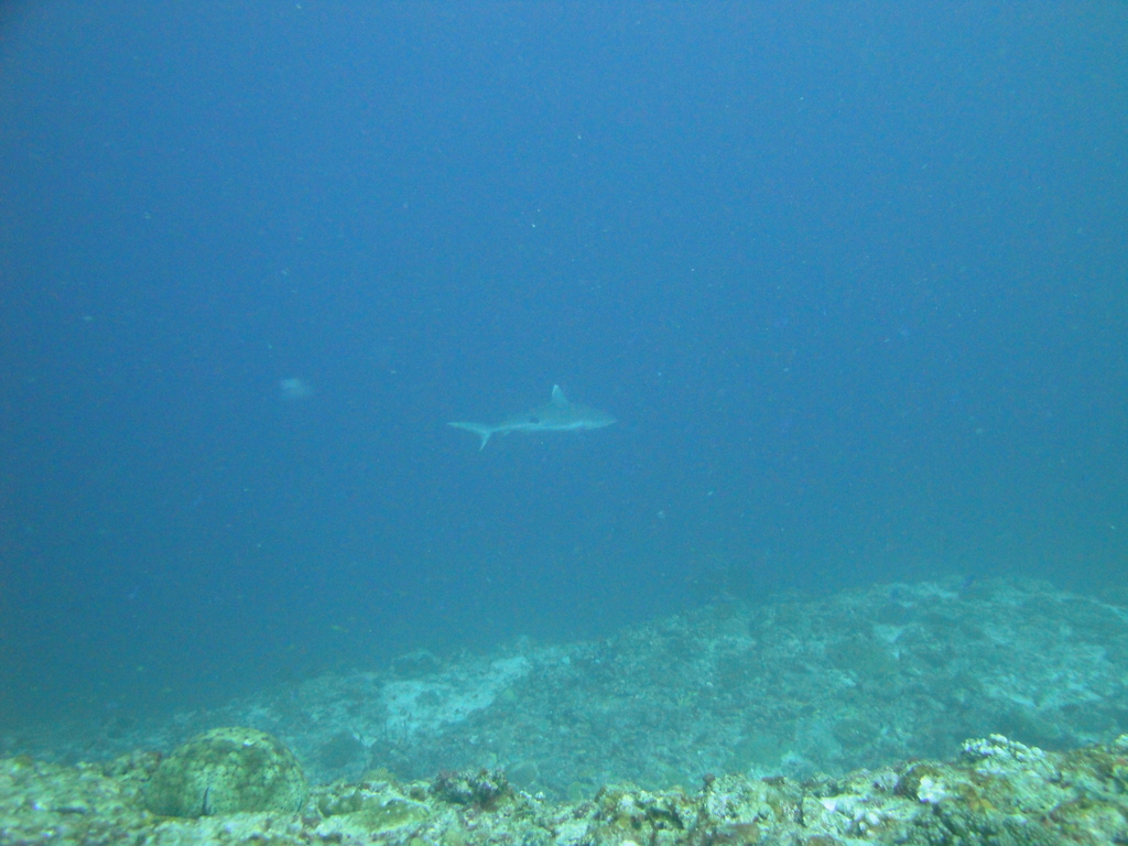 DSC01103.JPG