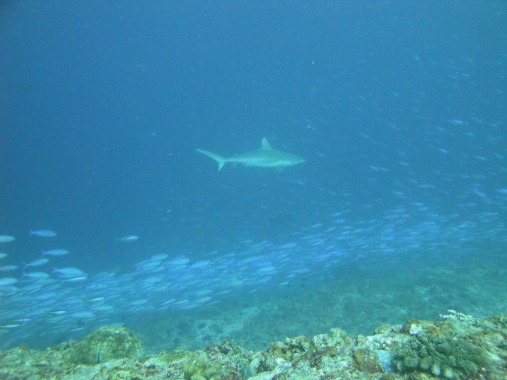 DSC01105.JPG