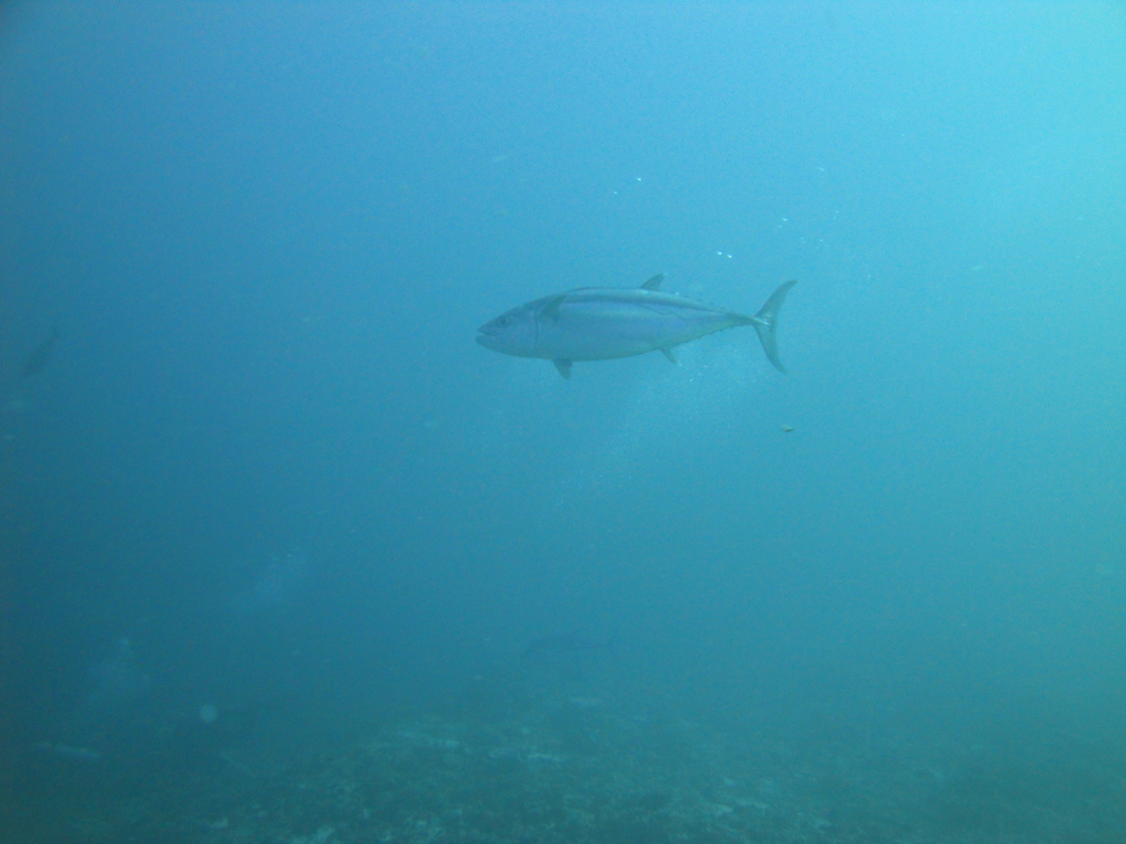 DSC01106.JPG
