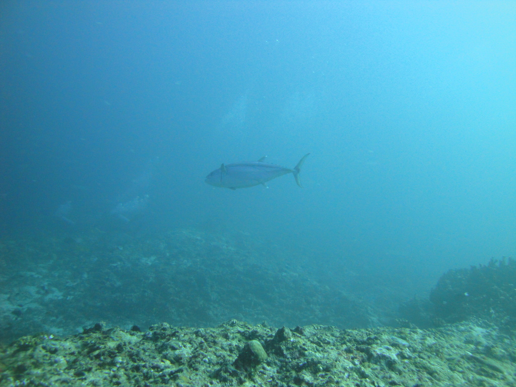 DSC01107.JPG
