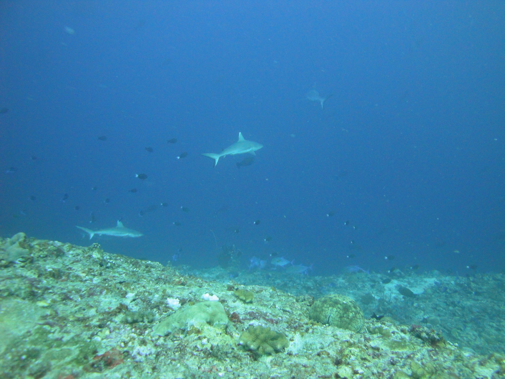 DSC01126.JPG