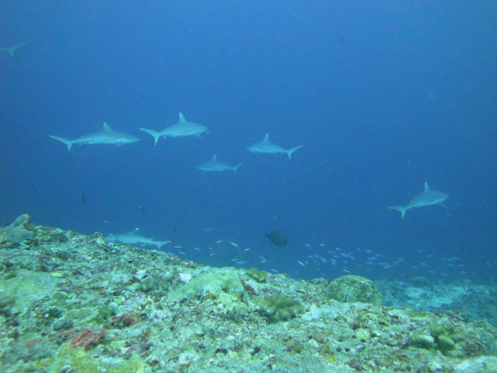DSC01144.JPG