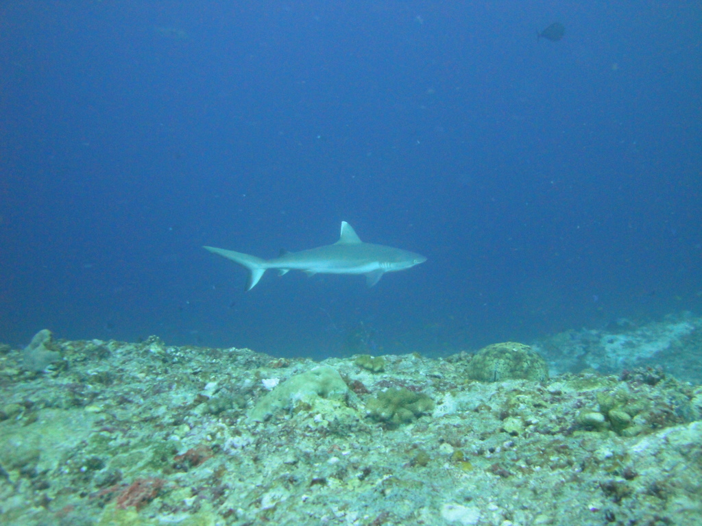 DSC01147.JPG