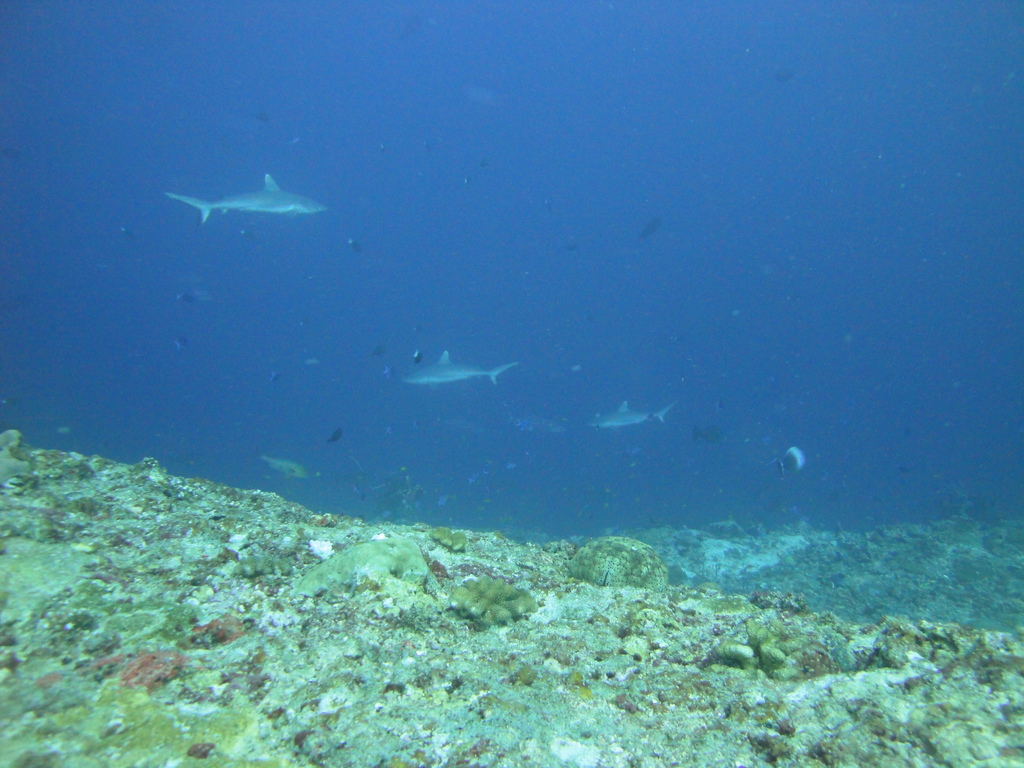 DSC01151.JPG