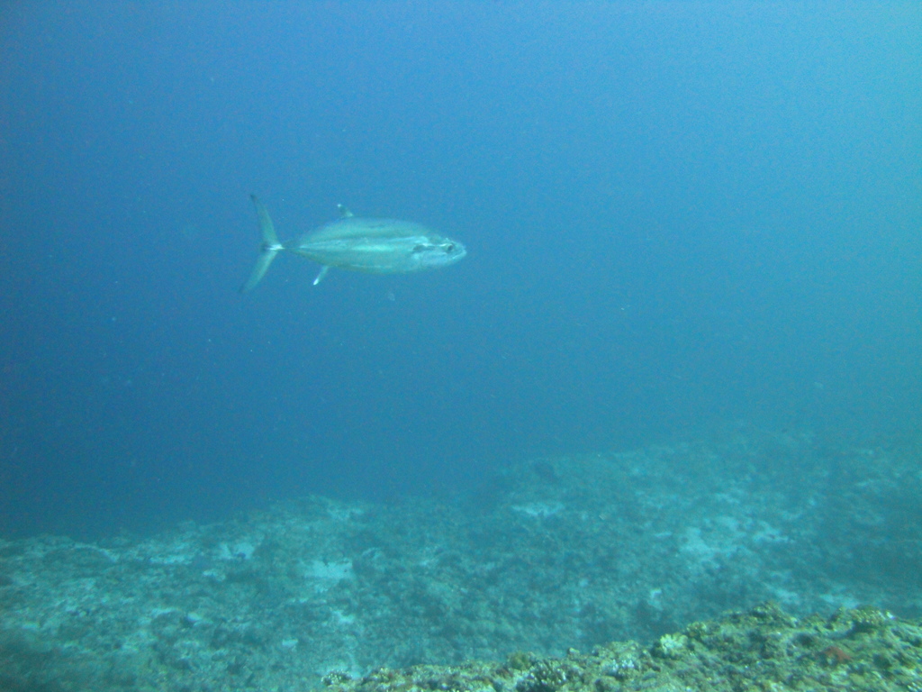 DSC01162.JPG