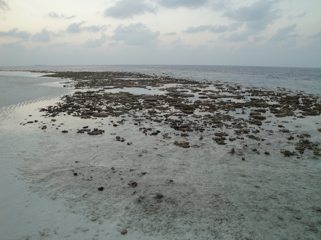 DSC01208.JPG