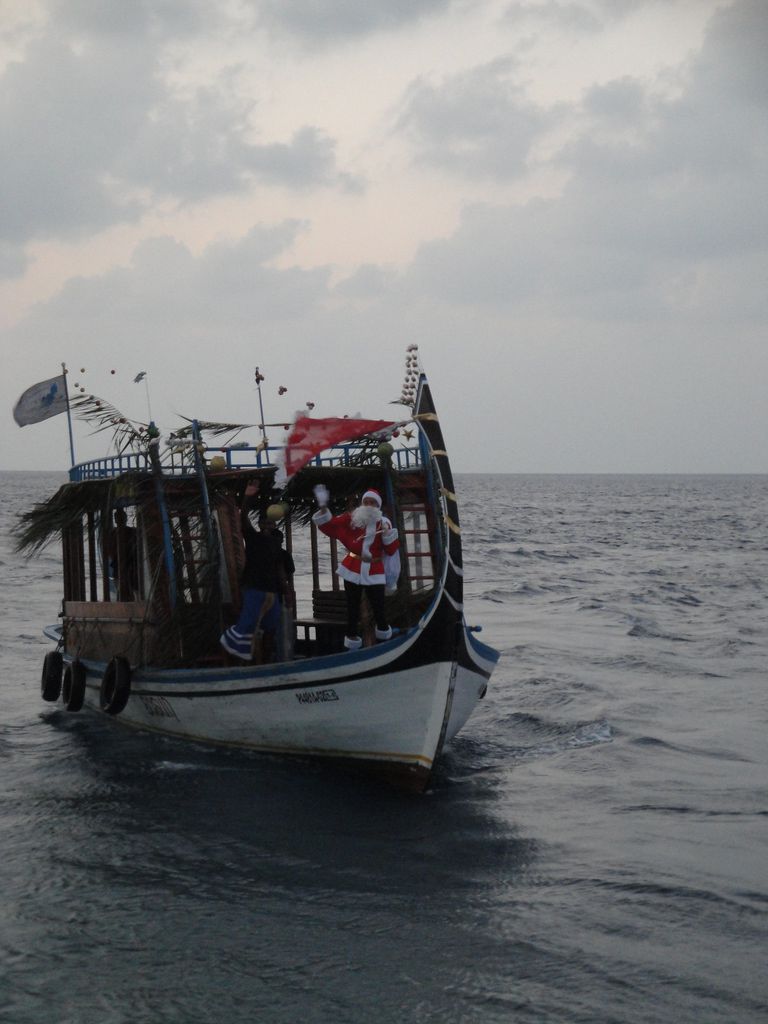 DSC01225.JPG