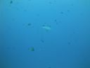 DSC00052.JPG