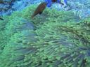 DSC00053.JPG