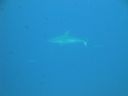 DSC00056.JPG