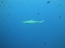 DSC00059.JPG