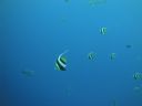 DSC00063.JPG