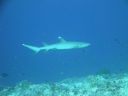 DSC00079.JPG