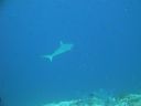 DSC00080.JPG