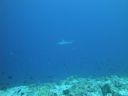 DSC00084.JPG