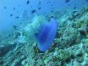 DSC00086.JPG