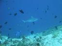 DSC00089.JPG