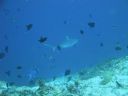 DSC00090.JPG