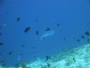 DSC00091.JPG