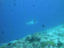 DSC00095.JPG