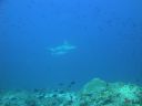 DSC00208.JPG