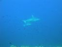 DSC00210.JPG