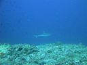 DSC00211.JPG