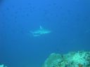 DSC00216.JPG