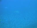 DSC00218.JPG