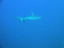 DSC00228.JPG