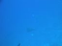 DSC00252.JPG