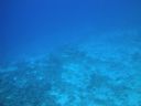 DSC00254.JPG