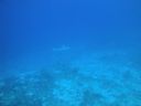 DSC00255.JPG