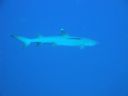 DSC00260.JPG