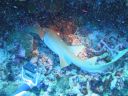 DSC00262.JPG